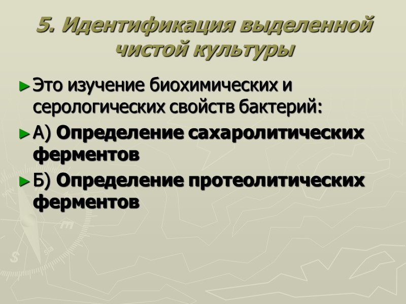 5. Идентификация выделенной чистой культуры Это изучение биохимических и серологических свойств бактерий: А) Определение